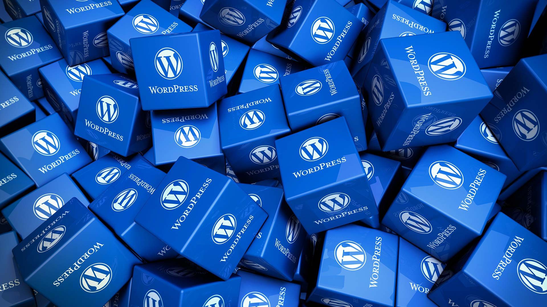 The WordPress Story: Charting the Rise of the Internet’s Premier CMS